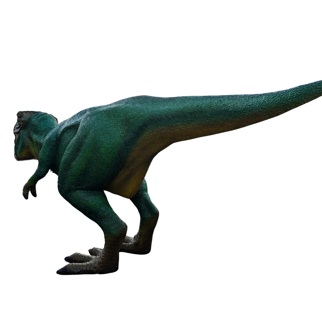 Fridolin T-Rex Rückansicht